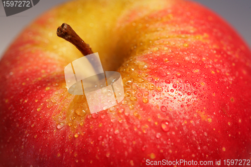 Image of apple