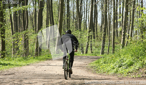 Image of Green forest biker