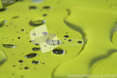 Image of water