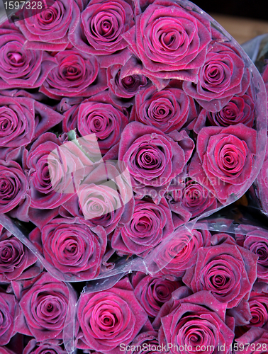 Image of flowers