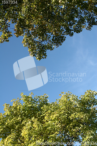 Image of danish landscape01