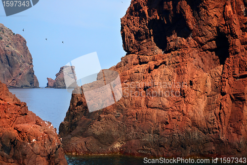 Image of CORSICA CALVI Bay of Calvi