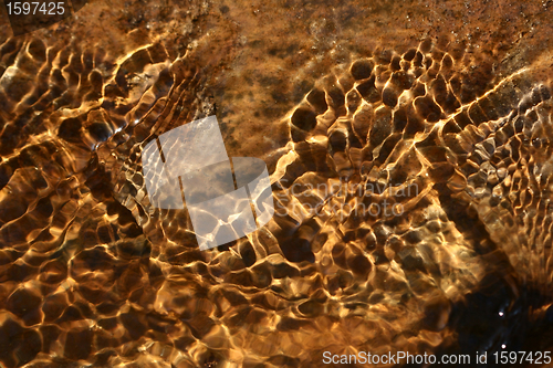 Image of gold water