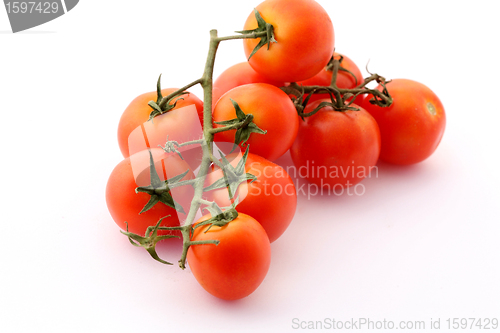 Image of tomatoes