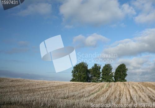 Image of danish landscape01