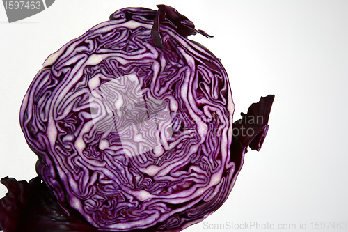 Image of Red cabbage