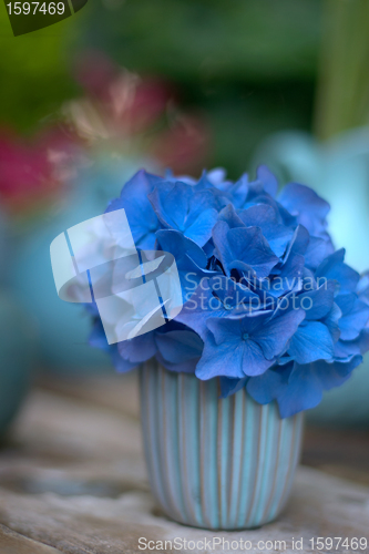 Image of flowers