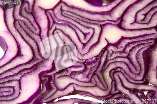 Image of Red cabbage