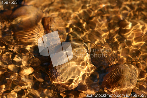 Image of gold water