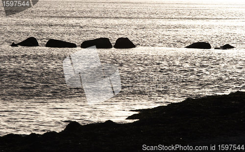 Image of danish landscape