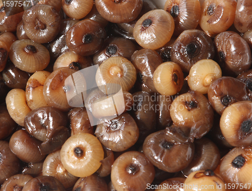 Image of onions