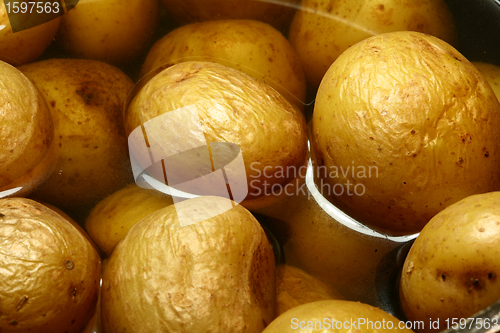Image of Potatoes