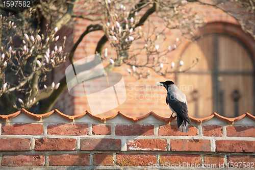 Image of house brick wall