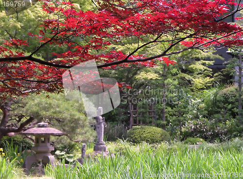 Image of Early autumn Japanese garden