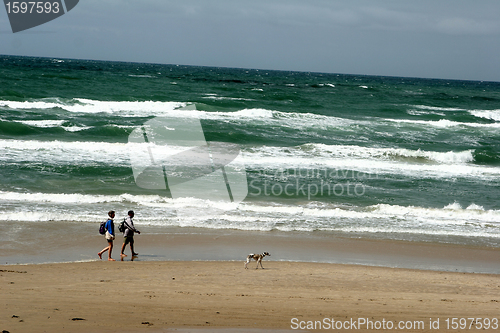 Image of  tourists on the beach