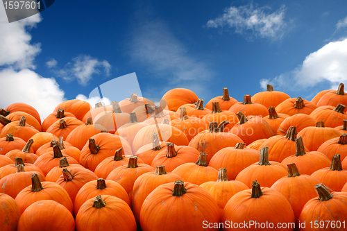 Image of Scenes of halloween with pumpkins