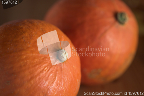 Image of pumpkin01