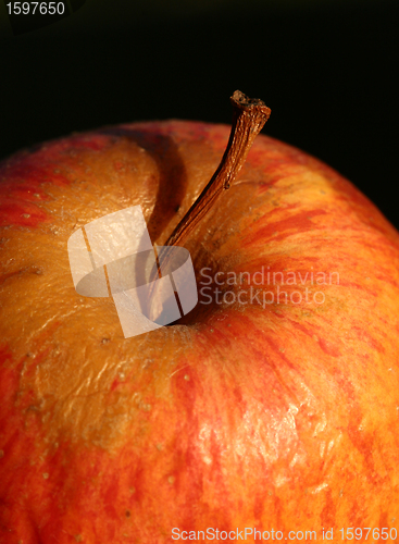 Image of apple