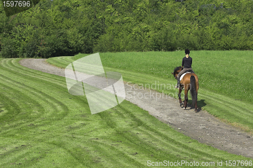 Image of riding horses