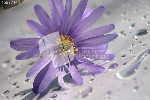 Image of water