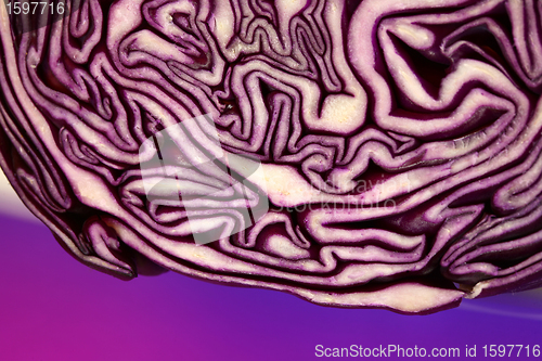 Image of Red cabbage