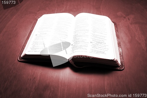 Image of Bible