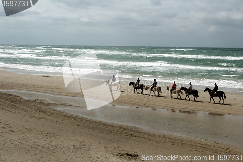 Image of beach activities