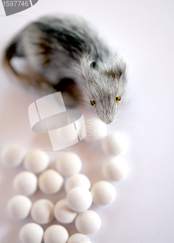 Image of pills