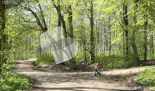 Image of Green forest bikers