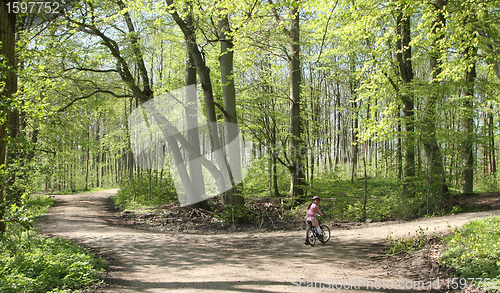 Image of Green forest bikers