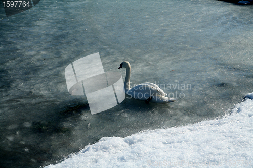 Image of winter in denmark