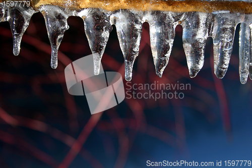 Image of winter