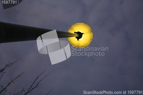 Image of Street lamps in Venice