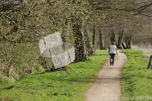 Image of walking the dog