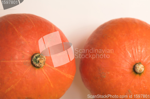 Image of pumpkin01