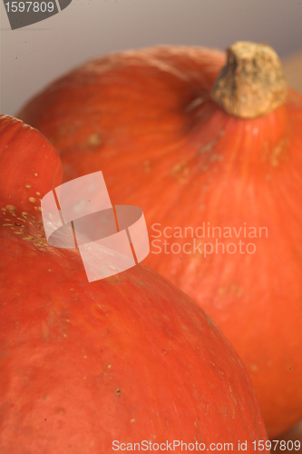 Image of pumpkin01