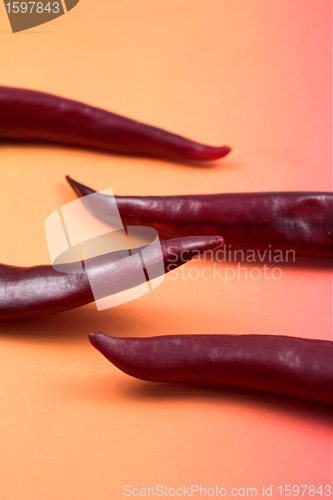 Image of Pepper