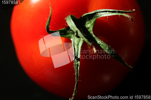 Image of tomatoes