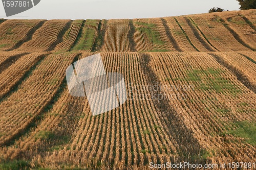 Image of danish landscape01