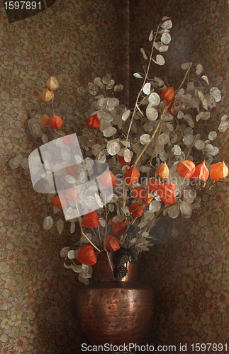 Image of Dried  flowers in a vase