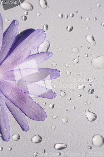 Image of water