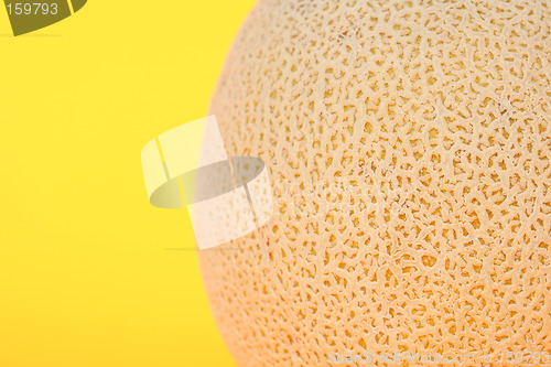 Image of Cantaloupe