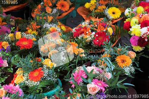 Image of flower in pots 