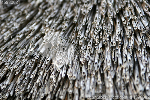 Image of roof abstraction