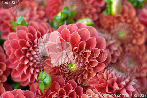 Image of flowers