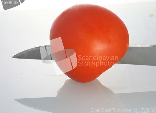 Image of  tomato