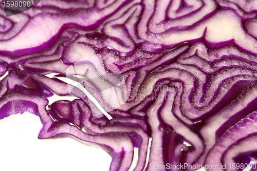 Image of Red cabbage