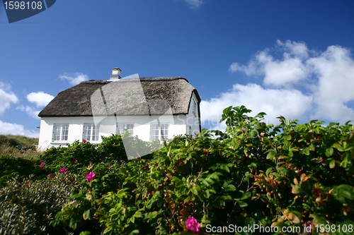 Image of house in denmark