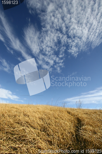 Image of danish landscape01
