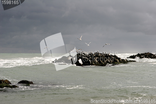 Image of danish landscape01